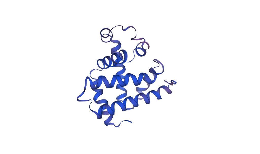 Recombinant Bovine Myoglobin (MB) - 1 mg