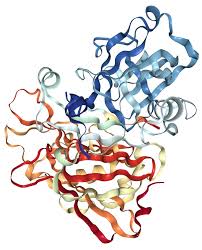 Recombinant Human Beta-Secretase 1 (BACE1) - 50ug