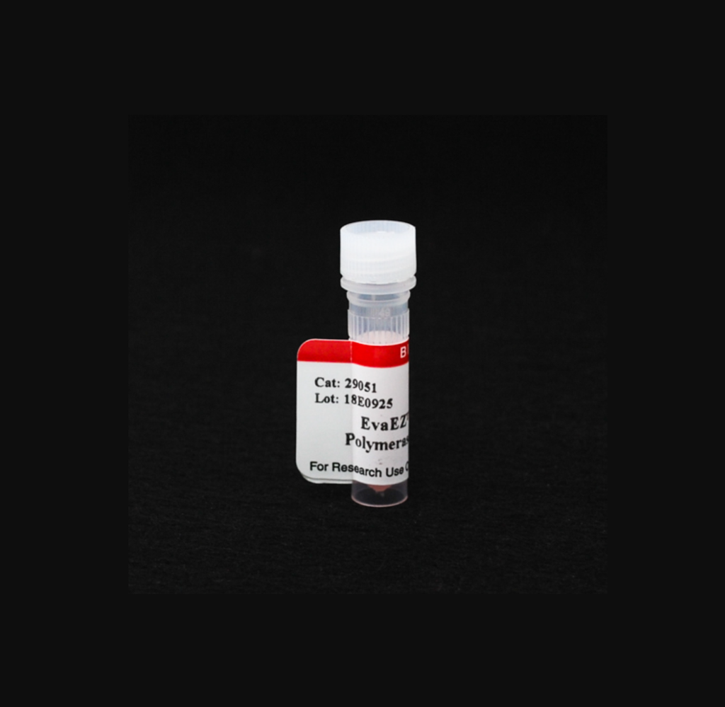 EvaEZ™ Fluorometric Polymerase Activity Assay Kit - 2x1mL