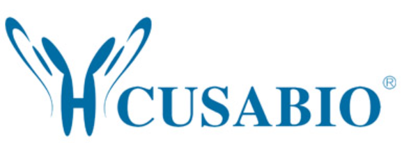 Rabbit anti-Porphyromonas gingivalis kgp - 100 ug