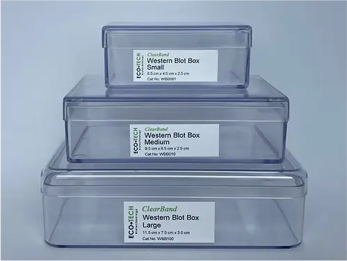 ClearBand Western Blot Box, Medium (9.5 cm x 4.5 cm x 2.5 cm) - 10 boxes 