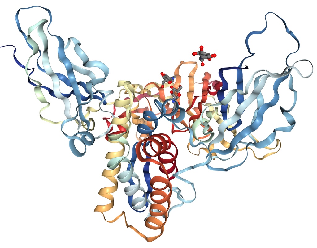 Recombinant Human Interleukin-20 receptor subunit beta (IL20RB), partial (30-233aa), Mammalian cells expression - 500 ug