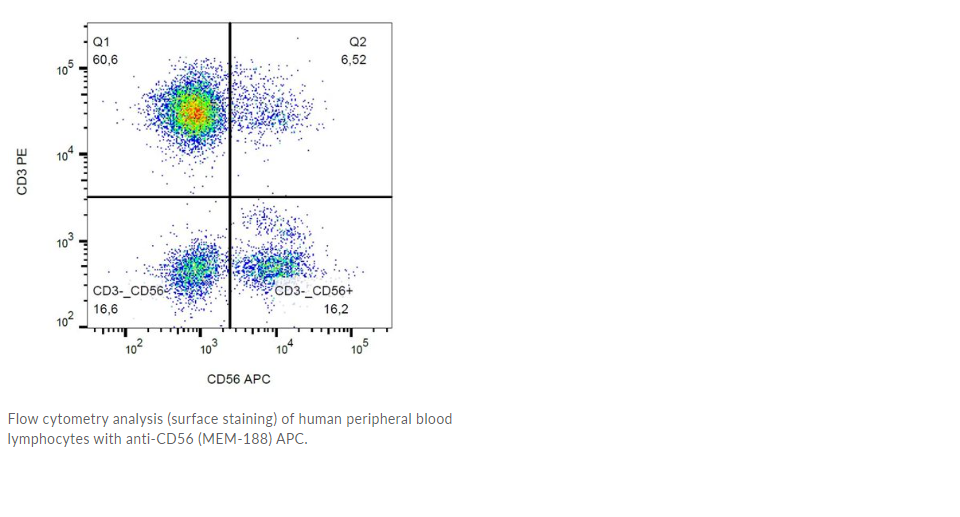 Human CD56 Monoclonal Antibody [Clone: MEM-188], APC conjugated - 100 tests