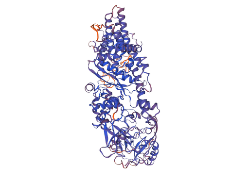 [0544-MBS2029972-1MG] Isoleucyl tRNA Synthetase (IARS) Recombinant Protein - 1mg